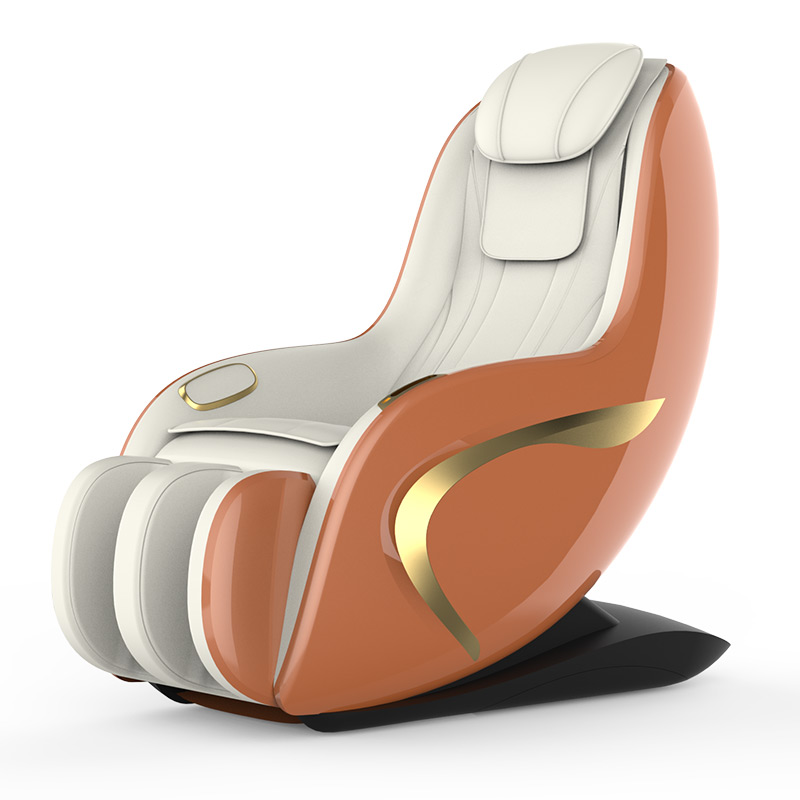 Professional Massage Chair AM-1098