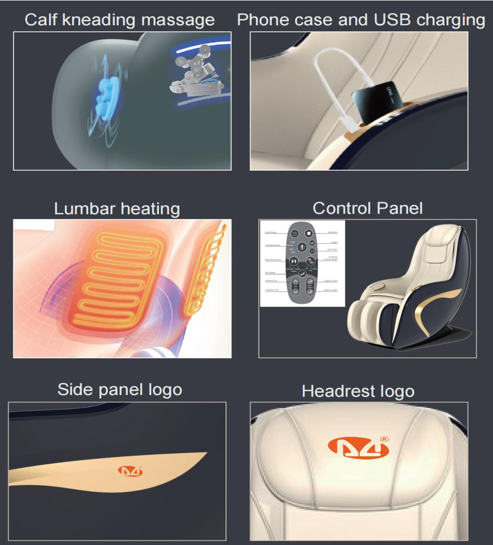 Professional Massage Chair AM-1098C