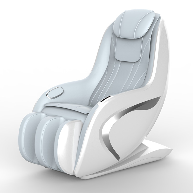 Professional Massage Chair AM-1098